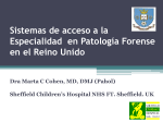 Sistemas de acceso a la Especialidad en Patología Forense en el