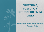 PROTEINAS%2c FOSFORO Y NITROGENO EN