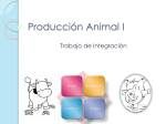Producción Animal I