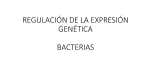 regulación de la expresión genética bacterias
