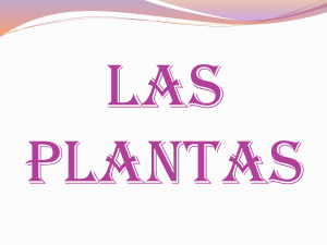 las plantas - WordPress.com