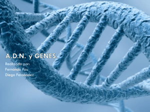 ADN y GENES. - cmccurso1011