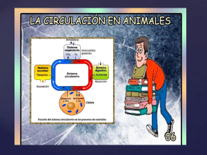 Diapositiva 1 - Cienciasesunalocura