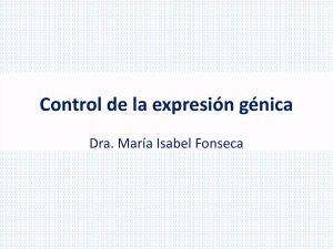 Control de la expresión génica