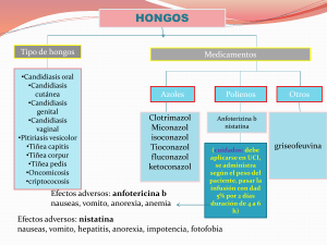 Diapositiva 1 - WordPress.com