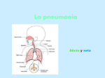 La pneumonia - Mestre a casa