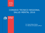 lineamientos salud mental hospitales 2015