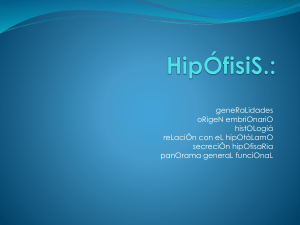 HipÓfisiS.: