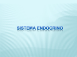 sistema endocrino sistema endocrino