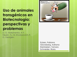 El uso de animales transgénicos en Biotecnología: perspectivas y