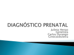 diagnóstico prenatal