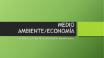 MEDIO AMBIENTE/ECONOMÍA