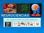 Diapositiva 1 - neurologia