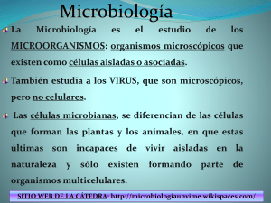 Generalidades Microbiología - microbiologiaunvime
