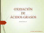 oxidación de los ácidos grasos