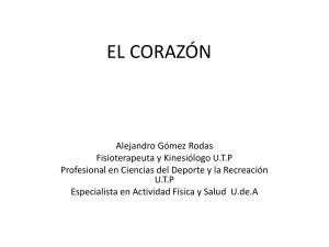 el corazón - Academia UTP