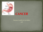 cancer - XTEC Blocs