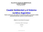 Caudal ambiental y el Sistema jurídico argentino