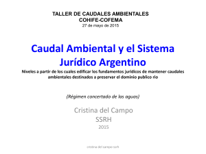 Caudal ambiental y el Sistema jurídico argentino