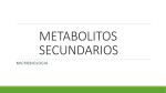 metabolitos secundarios