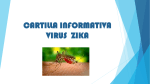Presentación virus Zika