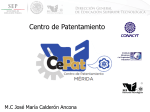 Presentación de PowerPoint - Centro de Patentamiento Mérida