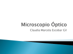 Microscopio Óptico