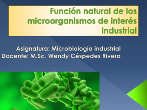 Función natural de los microorganismos de interés industrial