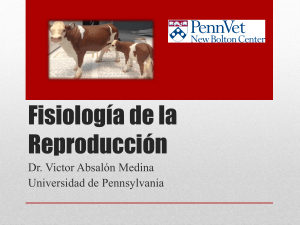 Fisiología de la Reproducción