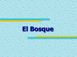 08-El-Bosque