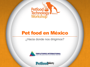 Presentación en español de PowerPoint