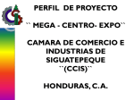 perfil de proyecto `` mega - centro- expo``