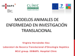 Modelos animales de enfermedad en investigación