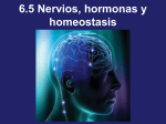 nervios+hormonas+y+homeostasis+110202 (01)