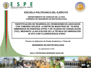 T-ESPE-033331-P - El repositorio ESPE