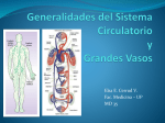 Generalidades del Sistema Circulatorio y Grandes