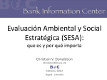 Evaluación Ambiental y Social Estratégica (SESA)