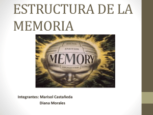 NATURALEZA, PROCESO Y ESTRUCTURA DE LA MEMORIA