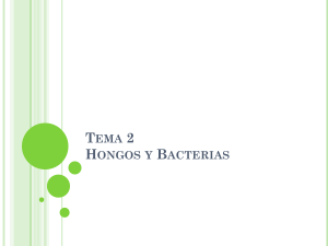 Tema 2 Hongos y Bacterias