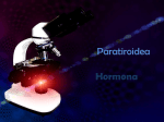 Hormona Paratiroidea