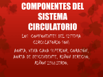 componentes del sistema circulatorio