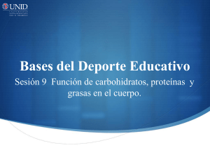 Bases del Deporte Educativo