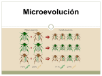 Microevolución - Evolucion de la Vida