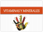 vitaminas y minerales - apuntescientificos.org