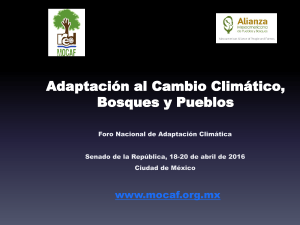 Adaptación al Cambio Climático, Bosques y Pueblos