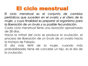 09 El ciclo mestrual