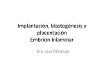 Implantación, blastogénesis y placentación Embrión bilaminar