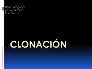 clonación - fisicayquimicaenelinstituto