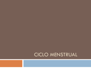 CICLO MENSTRUAL