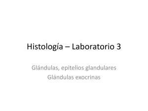 Histología * Laboratorio 3